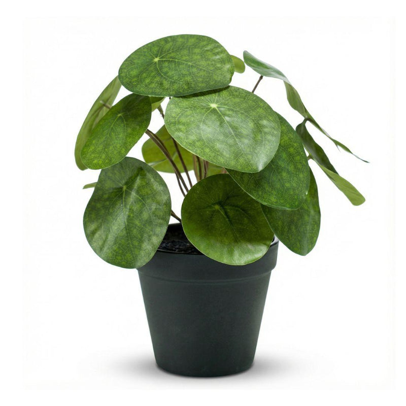 Künstliche Pilea Pflanze 25 cm im schwarzen Topf - Pflegeleicht