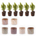 Mini-kerstboom set 6 - Inclusief pot set Madrid - Draadverlichting met 20 led-lampjes Bild 3