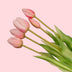 Keramikvase Erdbeer-Mädchen mit 10 pinken Real-Touch Tulpen Bild 5