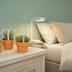 Cactus Set of 3 in Terracotta Pot Bild 4
