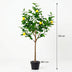 ARTIFICIAL Lemon Tree 150 cm - Realistic & Easy Care Bild 2