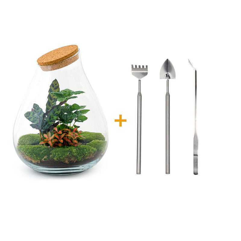 Bottle Garden - Drop XL Red - ↕ 37 cm - Rake + Shovel + Tweezers