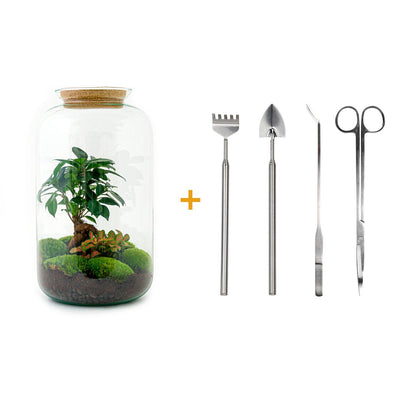 Flaschengarten Set Sven Bonsai mit Zubehör