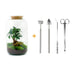 Flaschengarten Set Sven Bonsai mit Zubehör Bild 1
