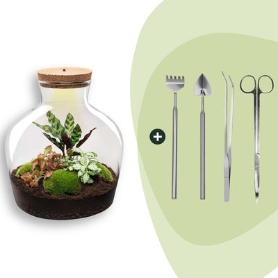 Flaschengarten - Fat Joe Rot - ↕ 30 cm - Rake + Shovel + Tweezer + Scissors