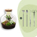 Flaschengarten - Fat Joe Rot - ↕ 30 cm - Rake + Shovel + Tweezer + Scissors Bild 1