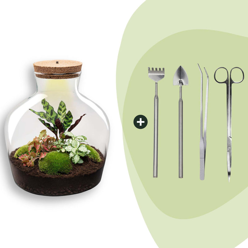 Flaschengarten - Fat Joe Rot - ↕ 30 cm - Rake + Shovel + Tweezer + Scissors