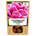Tulpenbollen Columbus – 20 Stuks | KH Bloembollen® | Roze-Witte Dubbele Pioentulp – Elegant & Vol – Voor Tuin of Pot – Maat 11/12 – Vers van de Teler! Bild 6