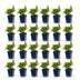 Green boutiQ - Perennial - Persicaria ampl. Rosea - Knotweed - Shade - Pink - 24 Plants - Pot 11cm - Height 15-25cm Bild 1