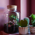 LOVE MOM Terrarium mit Licht - Muttertagsgeschenk DIY Flaschengarten Bild 5