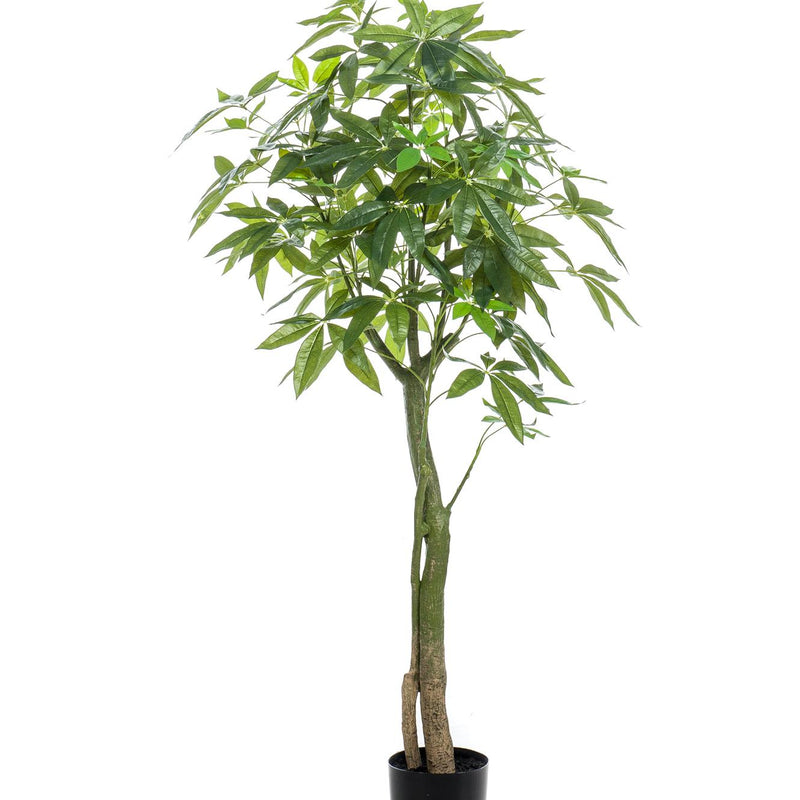 Artificial Pachira Aquatica Money Tree 150cm