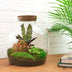 Flaschengarten - Fat Joe Rot - ↕ 30 cm - Rechen + Schaufel Bild 2