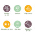 GreenboutiQ Euonymus Green Spire: 8 Heckenpflanzen für 1m dichte Hecke Bild 4