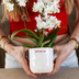 Gift set "Love You" | Red Phalaenopsis Orchid Congo with green plant in Love planters on a Cloud plate Bild 5