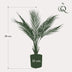Kunstpalme Chamaedorea Elegans Bergpalme 50cm Bild 2