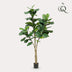 Artificial Plant Ficus Lyrata (Fiddle-Leaf Fig) 180 cm Bild 3