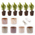 Mini Christmas tree set 6m. Pot Madrid + 20 LED lights Bild 2