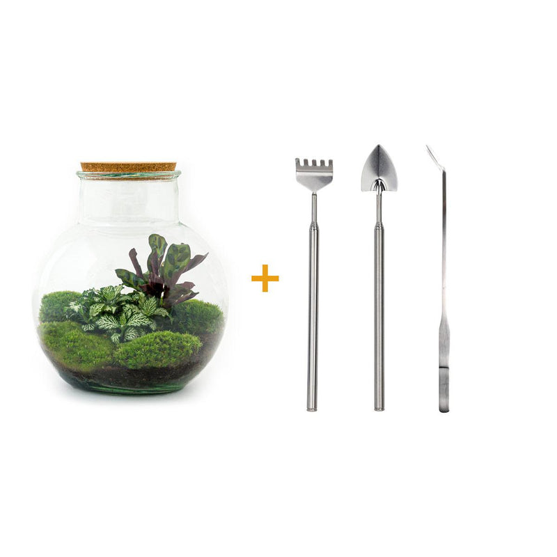Bottle Garden - Teddy - ↕ 26.5 cm - Rake + Shovel + Tweezers