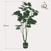 Kunstpflanze Ficus Umbellata (Afrikanische Feige), 125 cm Bild 2