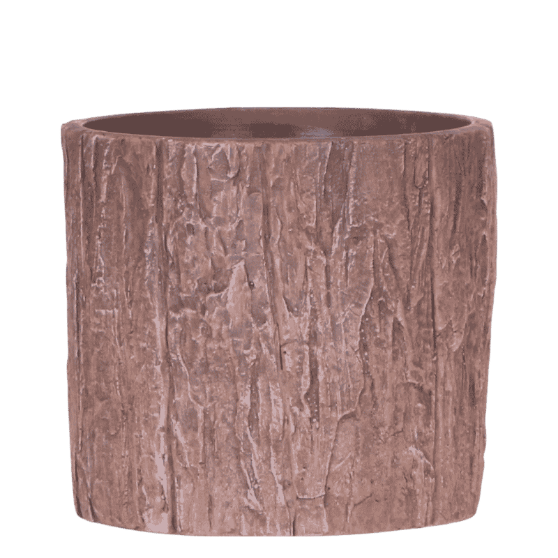 Kolibri Home | Baum Übertopf - Ø9 cm