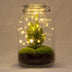 DIY Flaschengarten - Weihnachtsglas - ↕ 28 cm Bild 1