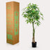 Artificial Pachira Aquatica Money Tree 150cm Bild 6