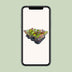 Nepenthes Alata Kannenpflanze im Ø12cm Topf, ↕17cm Bild 5