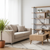 Dracaena Marginata Sunray Ø17cm - 60-80cm - Elegant Blattwerk mit Sonnenschein Bild 6