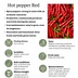 Red Harvest Vegetable Mix: Tomato, Bell Pepper & Chili (Ø 14 cm) Bild 9