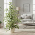 Ficus benjamina 'Twilight' – Elegant Houseplant for Your Home Bild 3