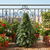 Nobilis-Weihnachtsbaum - ↕40cm Bild 2
