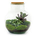 Bottle Garden Set: Teddy - 26.5 cm - DIY Plant Terrarium Bild 2