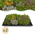 GreenboutiQ Sedummatte: 10 Sorten, winterhart, pflegeleicht, 50x30cm Bild 2