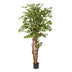 Kunstpflanze Ficus Liane Geigenblatt - 170 cm – Pflegeleicht & Dekorativ Bild 1