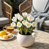 GreenboutiQ Krokus Zwiebeln Weiß - Hardy Perennial - 30 Stk. Bild 4