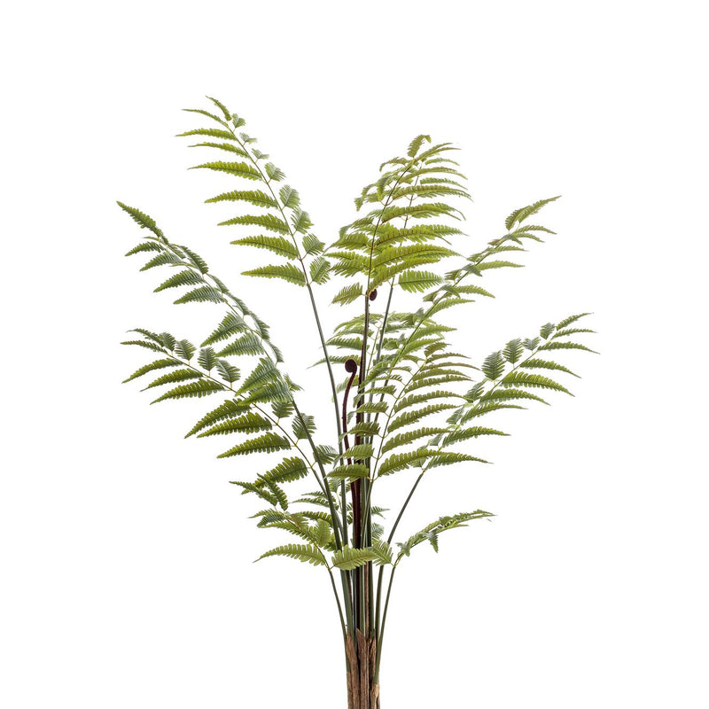 Kunstpflanze Rumohra Adiantiformis (Lederfarn) - 150 cm