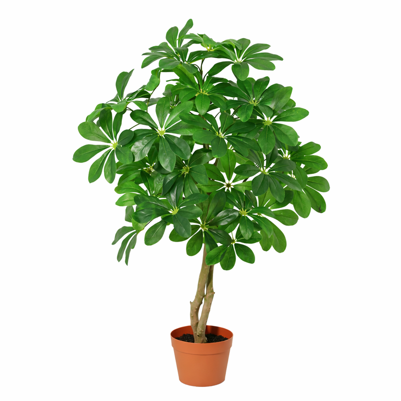 Künstliche Schefflera Arboricola, 120cm – Natürliche Deko ohne Pflege