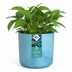Elho Ocean Round Pot Atlantic Blue D18 x H17 - Sustainable & Stylish Bild 4