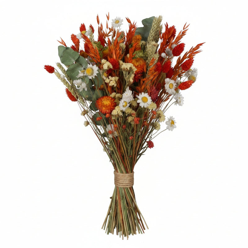 Getrocknete Blumen: Klassischer Orange-Strauß (4 Stück, 60cm)