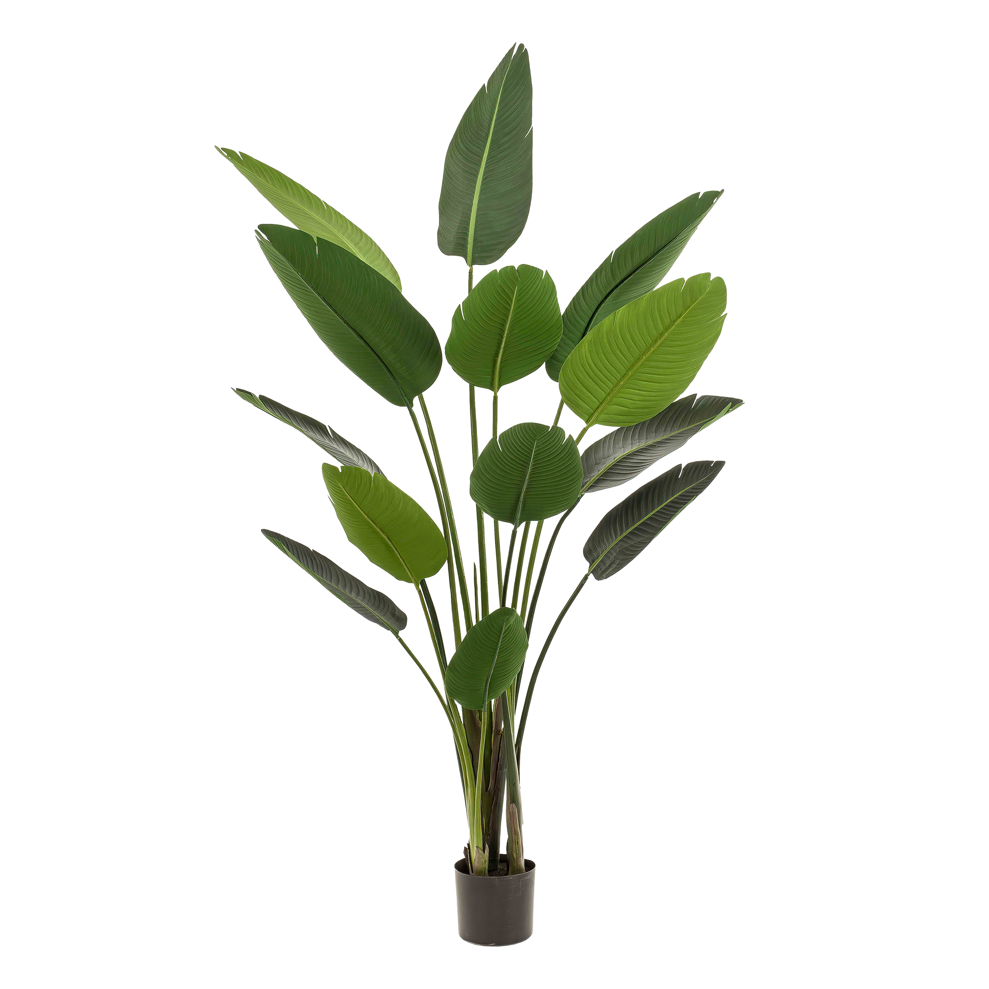 Kunstpflanze - Strelitzia Nicolai - Paradiesvogelblume - 190 cm