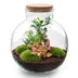 Flaschengarten Bolder Bob Bonsai DIY-Set Bild 1