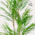 Kunstpalme Chamaedorea Elegans (Bergpalme) - 180 cm Bild 4