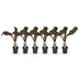 GreenboutiQ Bananenpflanze Ensete ventricosum Maurelli - Winterhart Bild 2