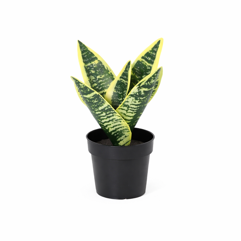 Künstliche Sansevieria Laurentii 21cm – Pflegeleichte Deko