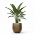 Planter Rowen Gold 42x41 cm – Elegance for Your Greenery Bild 3