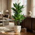 Dracaena Janet Lind, 95cm, mit Bio-Topf Bild 4