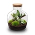 Flaschengarten - Fat Joe - ↕ 30 cm - Keine Werkzeuge Bild 1