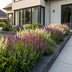 Green boutiQ - Perennial - Salvia Tricolour - Sage - Fragrant - Purple - Pink - White - 24 Plants - Pot 11cm - Height 15-25cm Bild 5