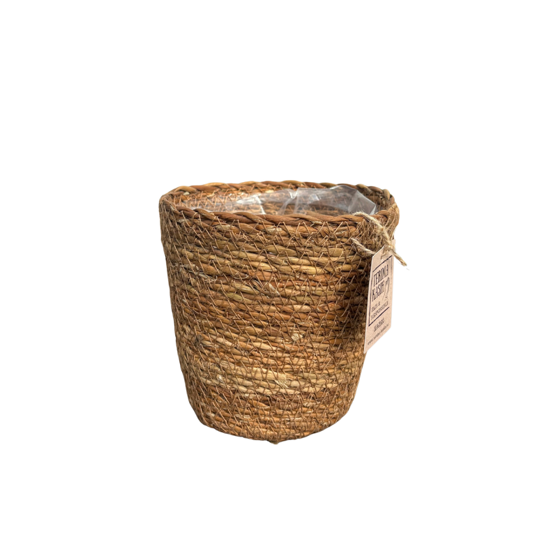 Dekokorb Seegras P12, 15cm H, für Topf 12cm, Natur