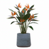 Plant pot Aniek Anthracite D34 x H30 cm - Stylish & Durable Bild 3